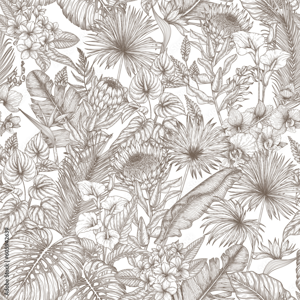 Vector seamless pattern tropical garden in engraving style. Anthurium, aralia, protea, palm and banana leaves, orchid, liviston, frieze, sabal, plumeria, zantedeschia, monstera, strelitzia