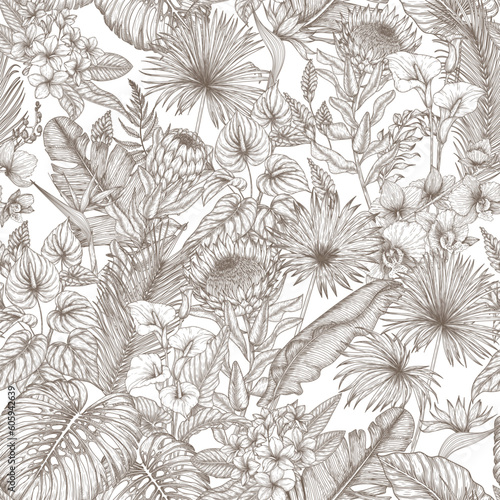 Vector seamless pattern tropical garden in engraving style. Anthurium, aralia, protea, palm and banana leaves, orchid, liviston, frieze, sabal, plumeria, zantedeschia, monstera, strelitzia