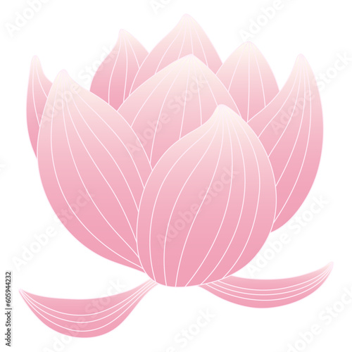 Lotus, water lily flower hand drawn illustration. Line art, drawing style design, isolated vector. Mid Autumn Festival floral, botanical element, beautiful Asian flora, blossom, bloom, plant