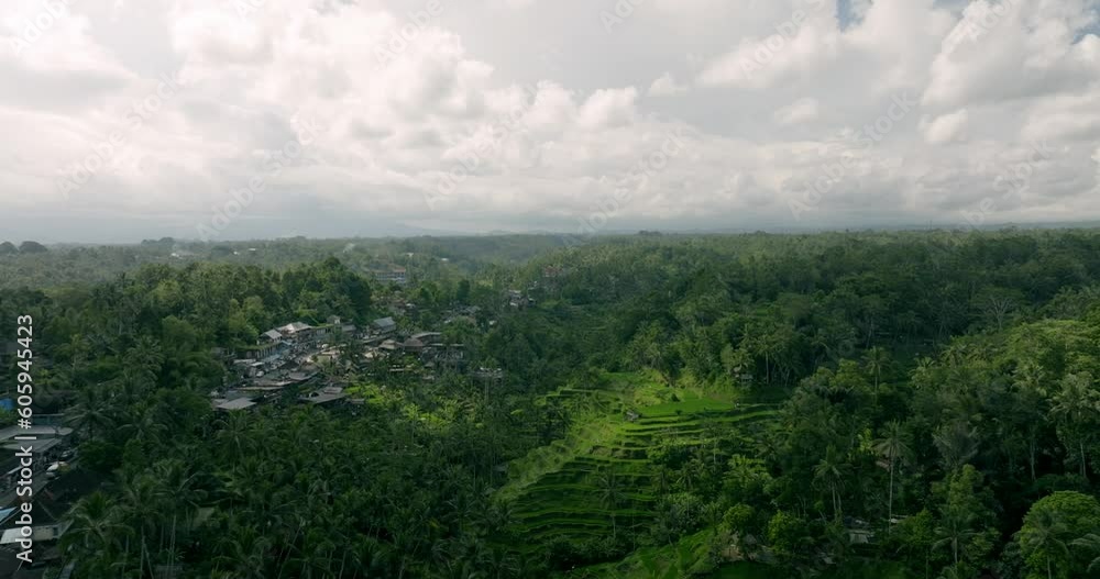 Drone view of Bali. Rice Terrace, Ubud, Bali, Indonesia. Top view Drone view of Bali. Rice Terrace, Ubud, Bali, Indonesia. Top view