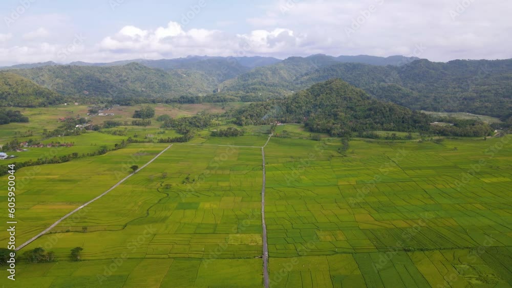 Aerial view of rural landscape with view of green rice field in cloudy sky. High altitude view. Nanggulan rice field, Kulon Progo, Yogyakarta, Indonesia - 4K drone footage Aerial view of rural landscape with view of green rice field in cloudy sky. High altitude view. Nanggulan rice field, Kulon Progo, Yogyakarta, Indonesia - 4K drone footage