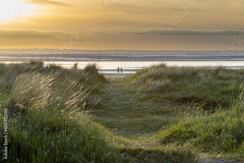 Breathtaking Golden Sunset over Beach with Helmgrass