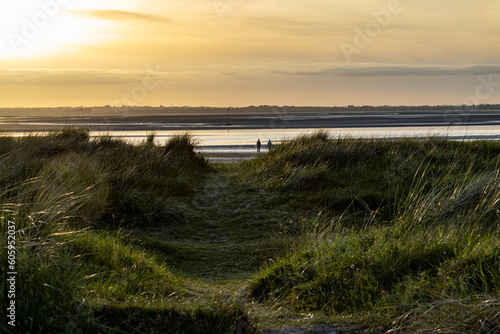 Breathtaking Golden Sunset over Beach  with Helmgrass