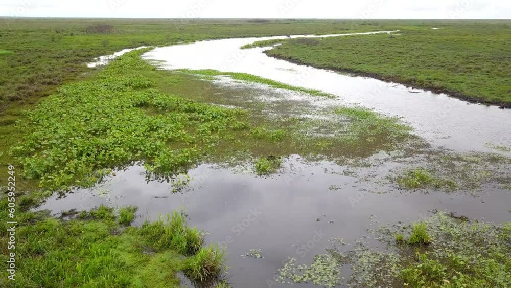 Wetlands of northeast Argentina shooted with drone Wetlands of northeast Argentina shooted with drone