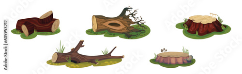 Tree Stump and Old Forest Snag on Green Grass Vector Set