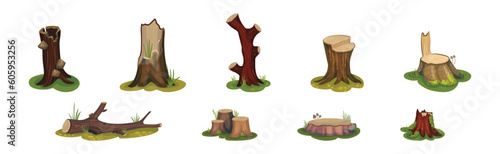Tree Stump and Old Forest Stub on Green Grass Vector Set