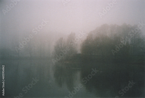 Trees Reflected in the Lake in a Winter Misty Morning. Milano, Italy. Film Photography © Tokil Photography