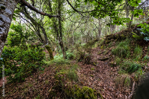Hiking through the Canyon del Sil in Parada de Sil in Galicia, Spain, Europe