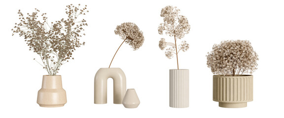 Dried flower in vase on white background