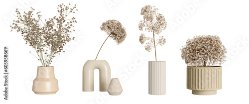 Dried flower in vase on white background