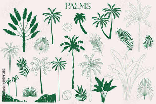 Collection of palm tree. Editable vector illustration.