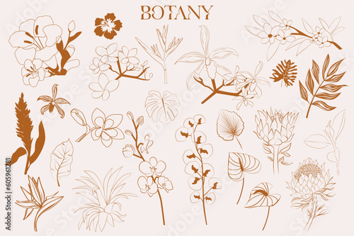 Fototapeta Naklejka Na Ścianę i Meble -  Tropical flowers and plant collection in sketch style. Editable vector illustration.