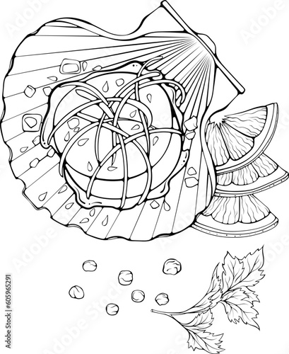 Scallop sea food. Still life with clam or marine bivalve mollusk. Black vector illustration in hand drawn sketch doodle style. Cartoon line art for coloring book, seafood shop or menu, decor, label