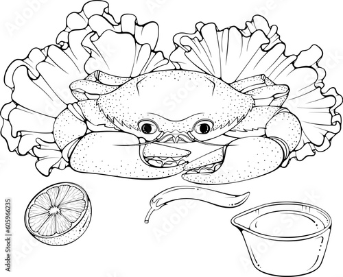 Still life with crab and greens. Sea food dish. Black vector illustration in hand drawn sketch doodle style. Line art for coloring book, seafood shop or menu, decor, label. Cartoon ocean animal