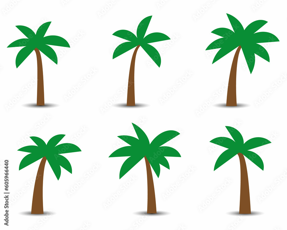 Naklejka premium Palm trees with shadow isolated on white. Vector illustration