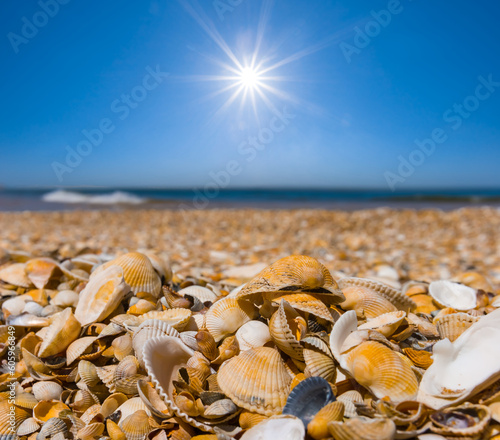 long sandy sea  beach covered by empty shell at hot sunny day, summer sea vacation scene photo