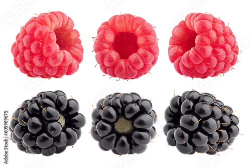 Photography raspberry, blackberry isolated on white background, full depth of field