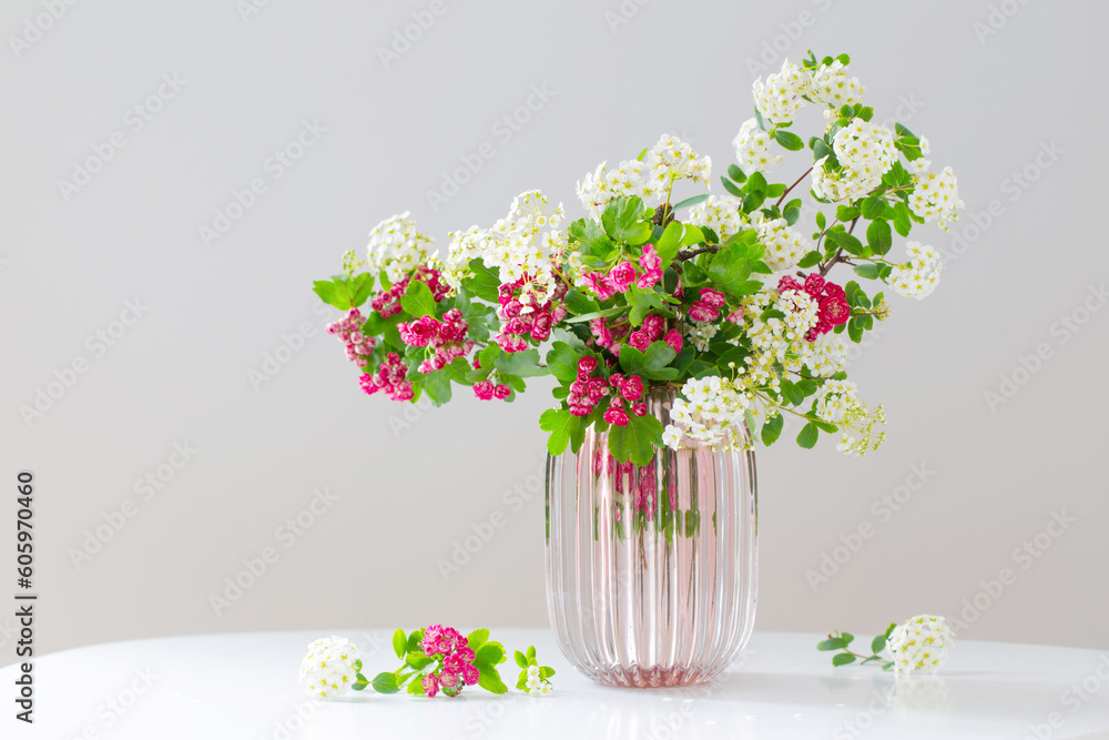 pink and white spring  blooming branches in modern glass vase on white background