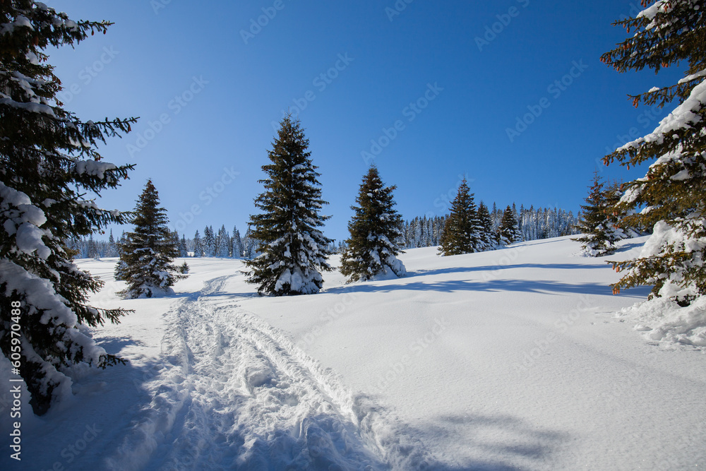 Paltinis Sibiu winter Romania Transylvania
