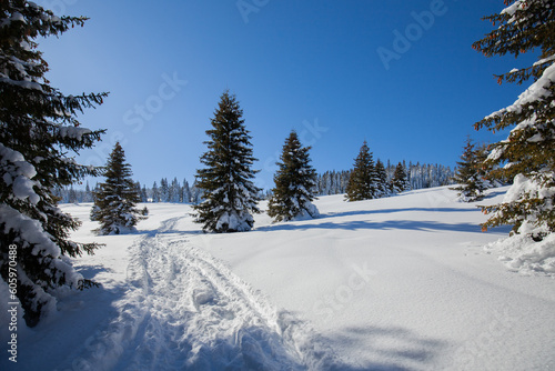 Paltinis Sibiu winter Romania Transylvania  © ben