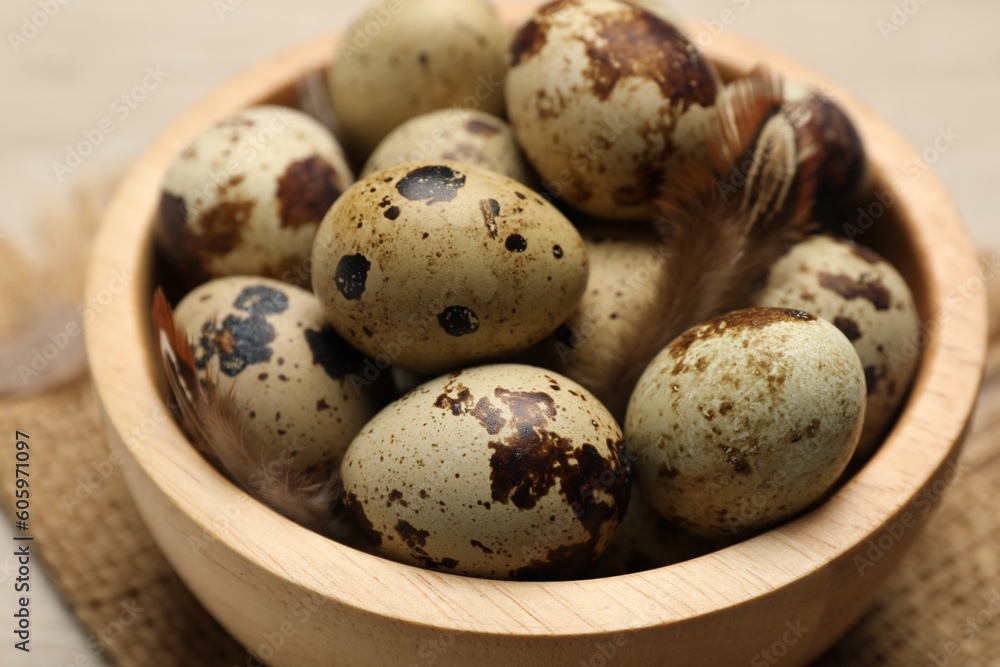 Speckled quail eggs and feathers on table, closeup view