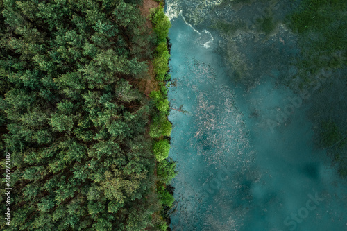 Wallpaper Mural Aerial drone view of lake and green lush forest Torontodigital.ca