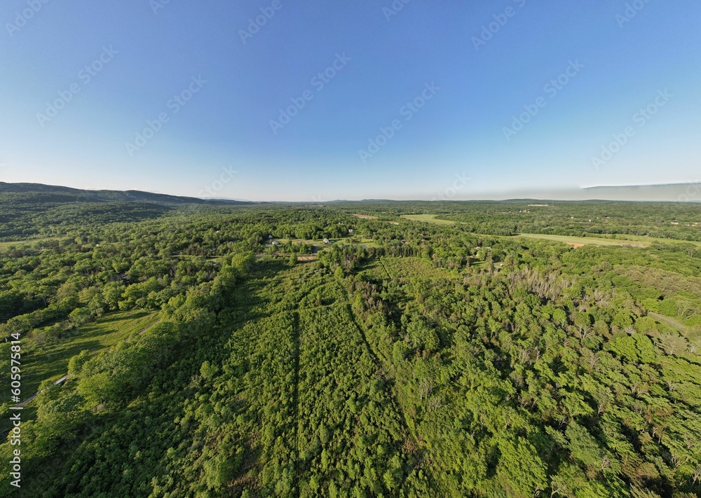 Aerial shot of a wide green forest with the horizon in the background on a sunny day
