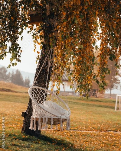 Canvas-taulu Vertical of a sorbus macrame hammock chair, swing hung from a tree with autumn f