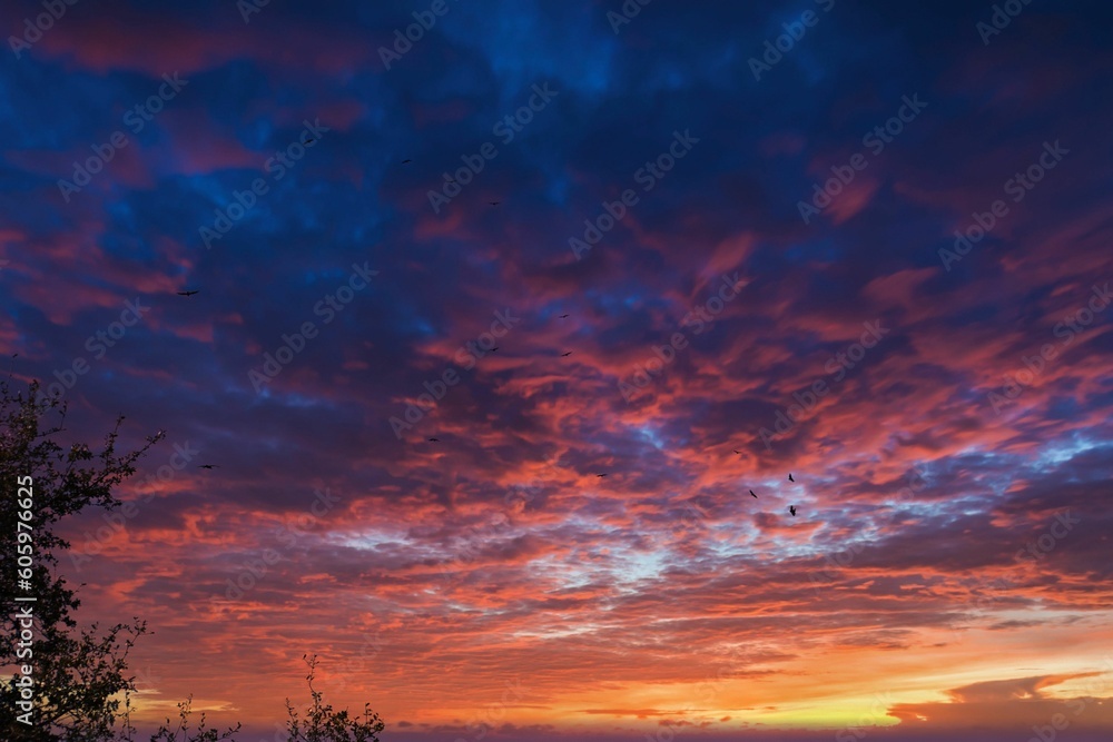 Beautiful view of the colorful cloudy sky at sunset.