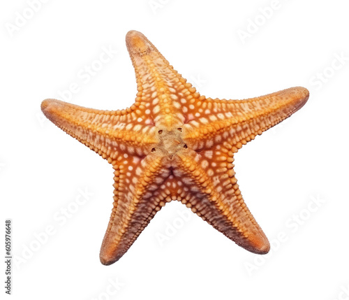 Top view close up starfish isolated on clipped transparent PNG background. Generative AI