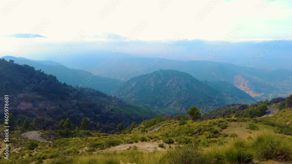 at the top of the mountain above the clouds with coniferous trees in Blida Algeria - Slow motion at the top of the mountain above the clouds with coniferous trees in Blida Algeria - Slow motion