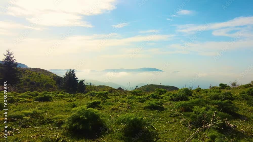 at the top of the mountain above the clouds with coniferous trees in Blida Algeria - Slow motion at the top of the mountain above the clouds with coniferous trees in Blida Algeria - Slow motion