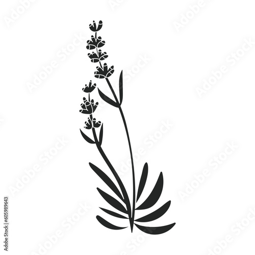 Lavender vector icon.Black vector icon isolated on white background lavender.