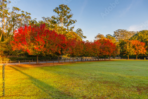 Tableau sur toile Early Morning Autumn Hues