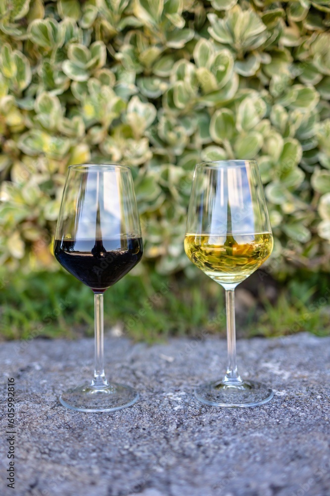 Selective of wine glasses on the concrete ground Selective of wine glasses on the concrete ground