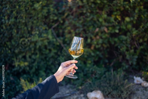 Closeup of cheering with wine glass photo