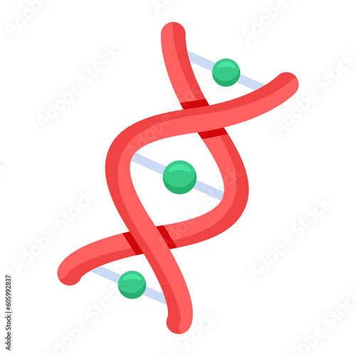 DNA Structure 