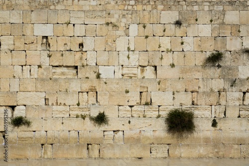Obraz na plátně An empty Western Wall Plaza