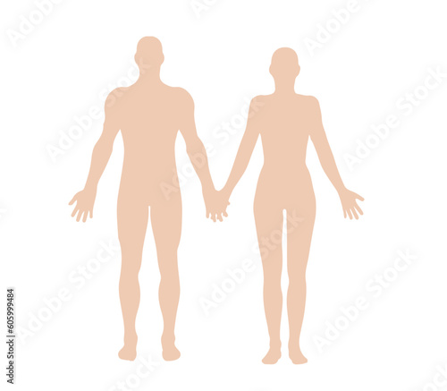 together Female and male body anatomy, silhouette, medicine