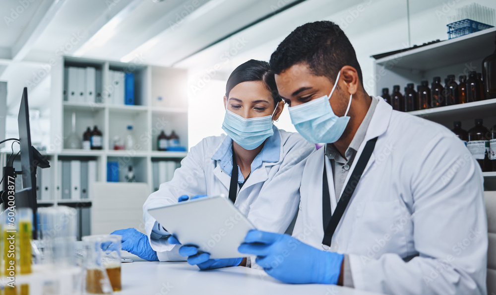 Science, tablet and team of scientists in a laboratory working on research for a medical project. Face mask, technology and healthcare researchers reading on medicine innovation with digital mobile. Science, tablet and team of scientists in a laboratory working on research for a medical project. Face mask, technology and healthcare researchers reading on medicine innovation with digital mobile.
