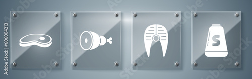 Set Salt, Fish steak, Chicken leg and Steak meat. Square glass panels. Vector