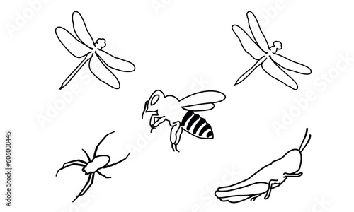 Bee, spider, grasshopper, dragonfly