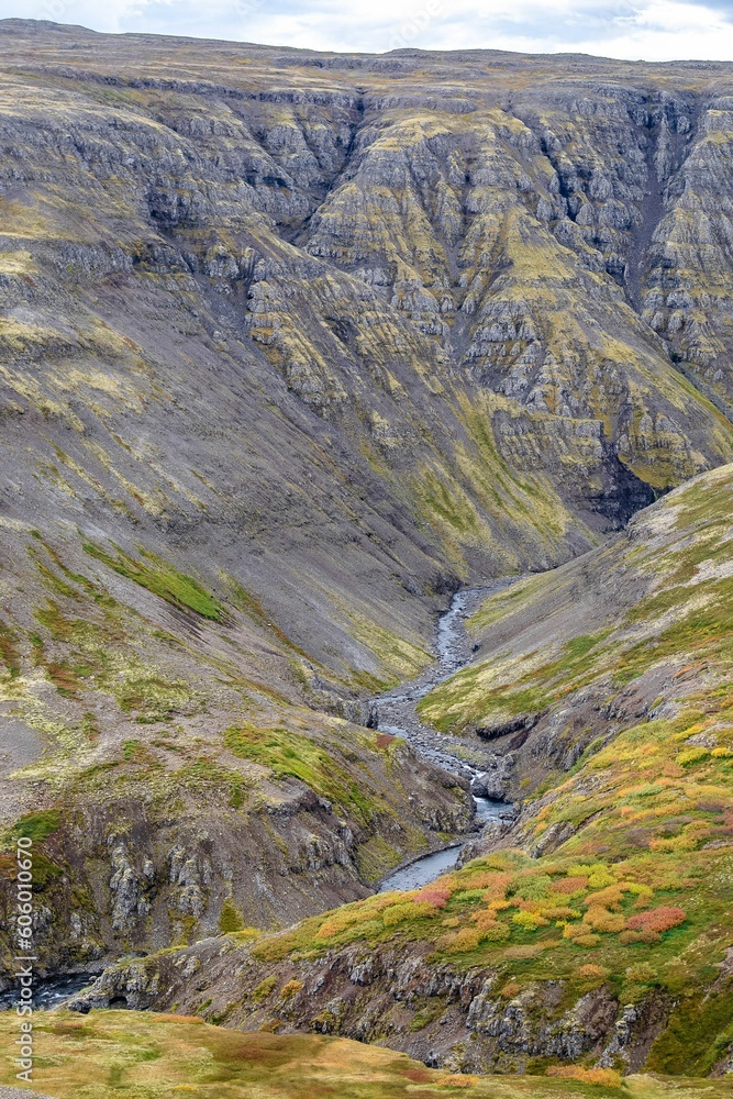 Obraz premium Aerial vertical shot of a river flowing between high rocky mountains covered in green plants