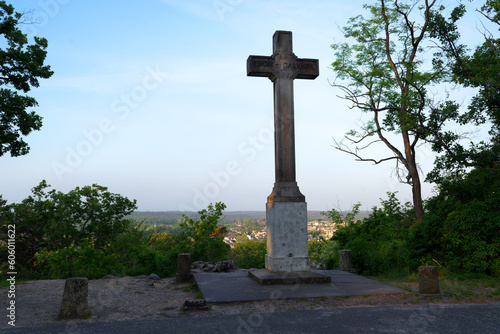 Augas cross in Fontainebleau forest photo