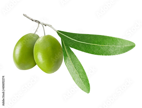 Olive branch with two delicious green olives isolated. Png transparency
