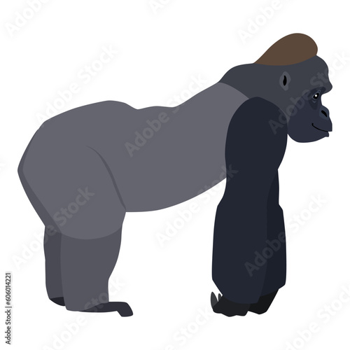 Animal illustration. Walking gorilla drawn in a flat style. Isolated objects on a white background. Vector 10 EPS