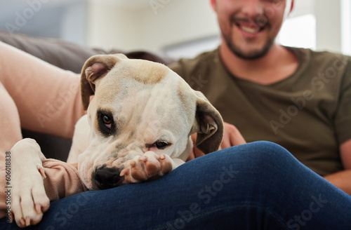 Dog, man and relax on sofa in home with love, smile or care with happiness by blurred background. Pet pitbull, animal and happy guy on lounge couch with bond, sitting and together with woman in house