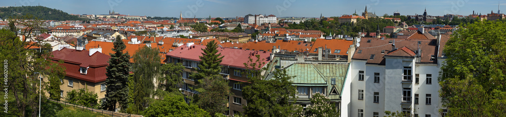 View of the architecture in Prague from Vysehrad,Czech republic,Europe
View of the architecture in Prague from Vysehrad,Czech republic,Europe