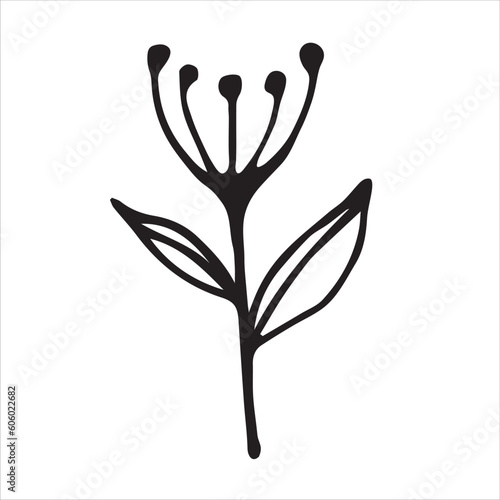 Floral elements hand drawn vector illustration, isolated on white background