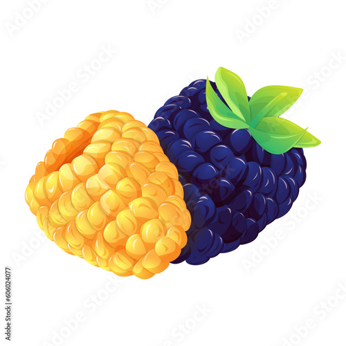 Golden evergreen raspberry and blackberry isolated on white background